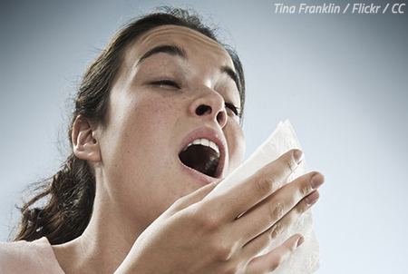 How to handle allergies after moving