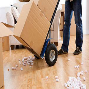 movers dc area