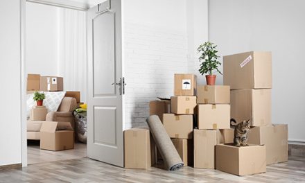 Moving Into an Apartment for the First Time: Checklist and Tips